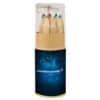 Colored Pencil 12-Pc Set w/ Sharpener